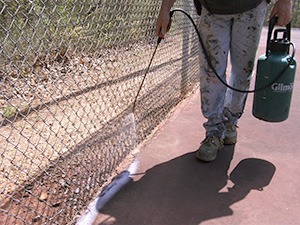 tennis court lines