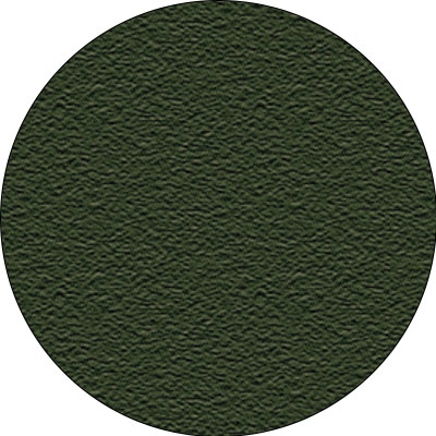 Plexipave Dark Green